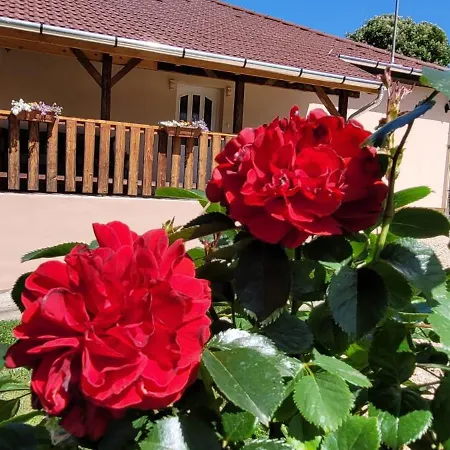 Vila Gardonyi Haz Saly Exteriér fotografie