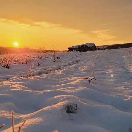 Vila Gardonyi Haz Saly Exteriér fotografie