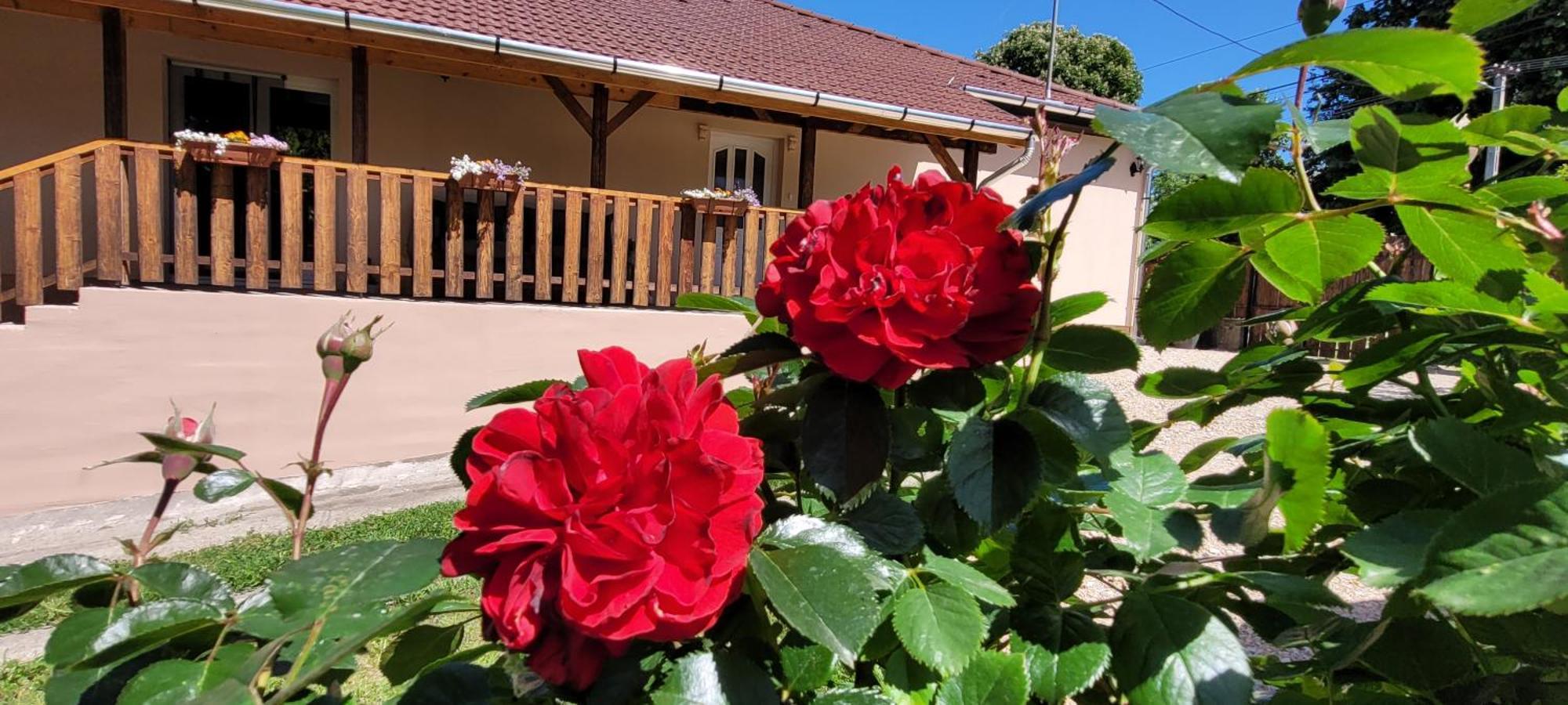 Gardonyi Haz Holiday home Saly
